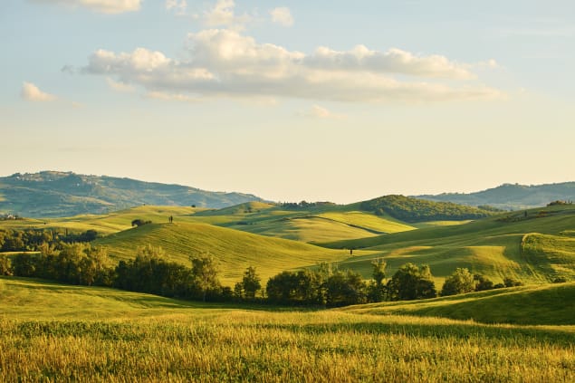 Colline toscane