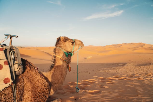 Deserto del Merzouga