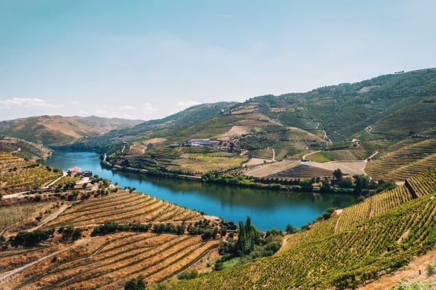 Valle del Douro