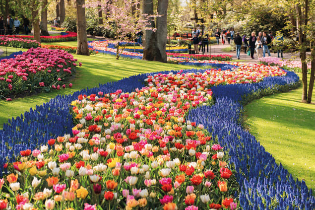 Parco Keukenhof