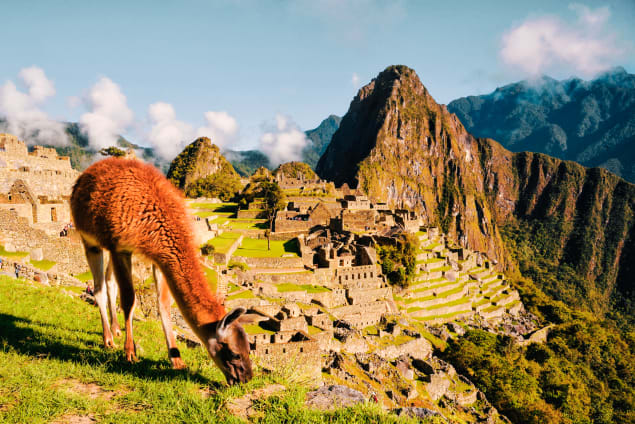 Machu Picchu