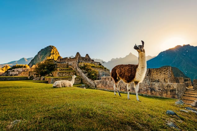 Machu Picchu